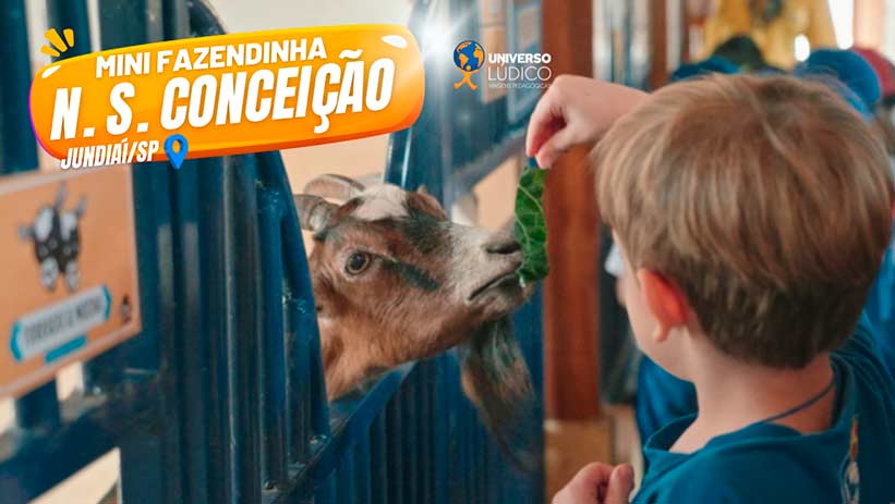 Mini Fazendinha N.S. Conceição
